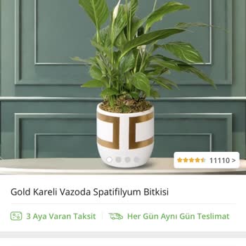 Çiçek Sepeti Yanlış Ürün Gönderdi
