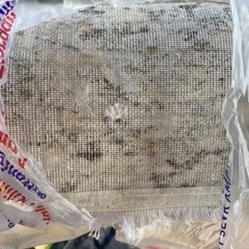 Dört Mevsim Halı Yıkama Koltuk Temizleme (İzmir) Nemli Bırakan Halı Yıkamacı