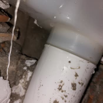 Siamp Eşittir Pişmanlık Ürünün Arkasında Duran Bir Fabrika Bile Yok