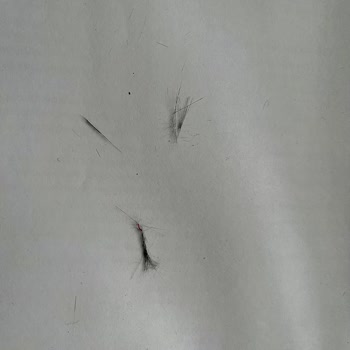 Dyson Teşhir Ya Da 2. El (İade) Ürün Satıyor!