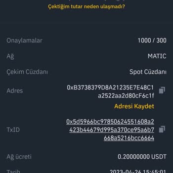 Binance Çekim Hatası Sonuçlanmamış Transfer