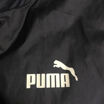 Puma Nın Logosu Kopmuştur