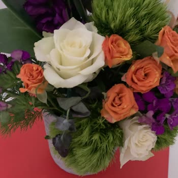 Taze Çiçek (tazecicek.com) Siparişimde Sorun Yaşadım