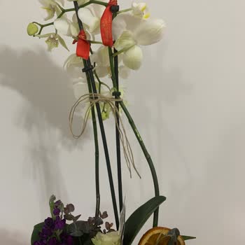 Taze Çiçek (tazecicek.com) Siparişimde Sorun Yaşadım