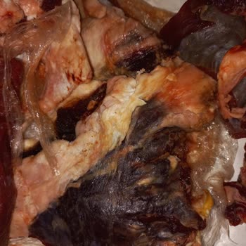 Ege Et Bozuk Ürün Et Satımı