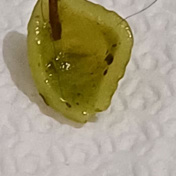 Veronelli Makarnadan Kıl Çıktı