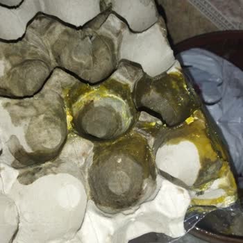 Beyza Piliç 'ten Aldığım Akgül Yumurta Paketi Hakkında