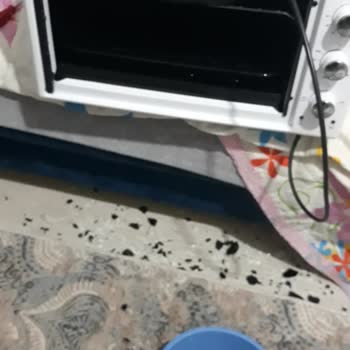 Arzum Aldım Eve Gittim Paramparça