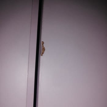 Ünüvar Konsept Kalitesiz Ve Deforme Ürün Satan Bir Mobilya Üreticisi