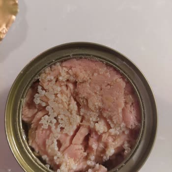 Dardanel Zeytinyağlı Ton Balığı Konservenin İçinde Balık Yumurtası