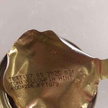 Dardanel Zeytinyağlı Ton Balığı Konservenin İçinde Balık Yumurtası