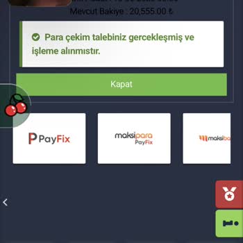 Betgaranti Para Çekim Talebi İle İlgili Sorunlar Yaşadım