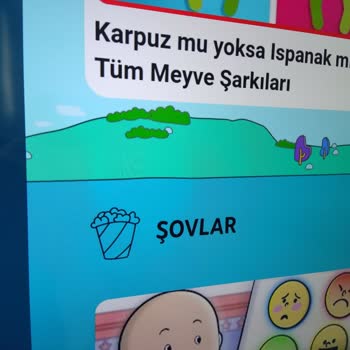 Toshiba TV Ekranında Her Renkte Belli Olmayan İnce Çizgiler Oluştu