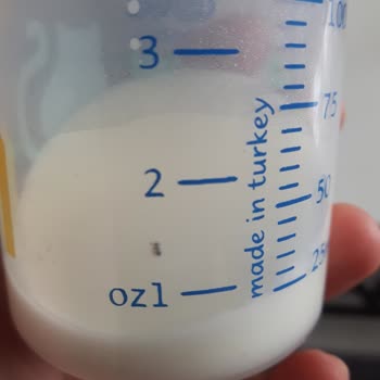 Nutricia Aptamil Mama Da Böcek