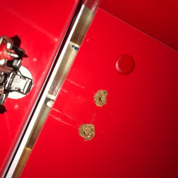 Çilek Arabalı Çocuk Odası