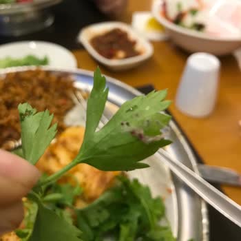 Diyarbakır Ocakbaşı Palace (Samsun Atakum) Hijyen Ve Müşteri Memnuniyeti Sıfır!