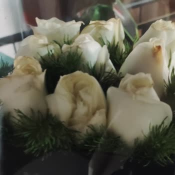 ÇiçekSepeti Solmuş Çiçek Gönderimi