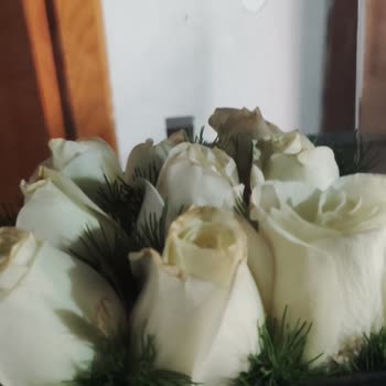 ÇiçekSepeti Solmuş Çiçek Gönderimi