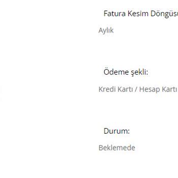 Büyük Hosting Den Sunucu Kiraladım 1 Gün Oldu Teslim Edilmedi