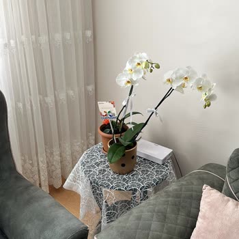 Çiçek Sepeti Kötü Gelen Ürün