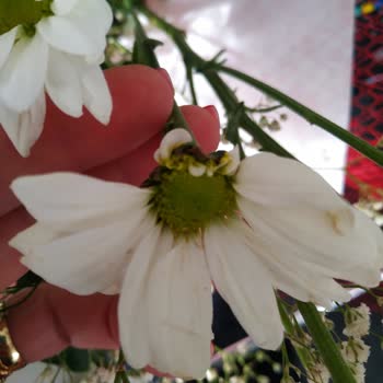 Şile Çiçek.com Çöplerden Buket Satıyor