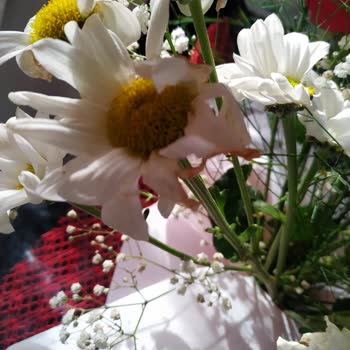 Şile Çiçek.com Çöplerden Buket Satıyor