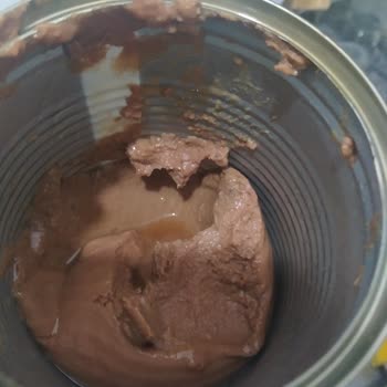 Dardanel Jazzy Yaş Kedi Maması Ton Balıklı 400gr