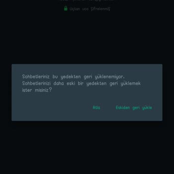 WhatsApp Yedekleme Sorunu