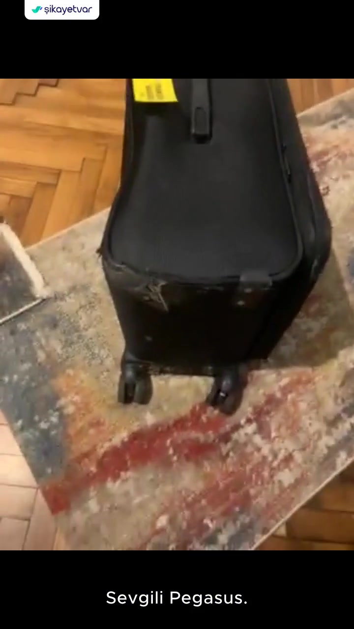 Sen Yeter Ki Pişman Olmak İste Pegasus Her Zaman Yanında! videonun kapak resmi