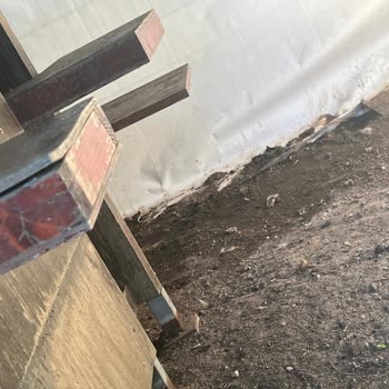 Bayrampaşa Belediyesi Adapark Kedi Köşkü