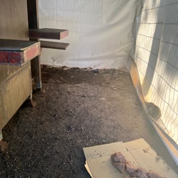 Bayrampaşa Belediyesi Adapark Kedi Köşkü