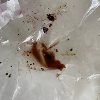 Çiçek Market Şikayet Kötü Ve Eksik Sipariş Muhatap Bulamama