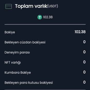 Minterests Nft Yatırımı