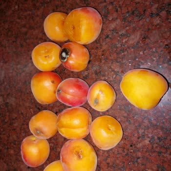 Carrefour SA Çürük Gelen Kayısı