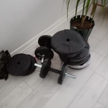 E-Life GYM Eksik Sipariş