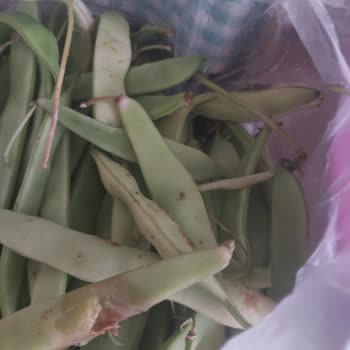 Arçelik Buzdolabı Sorunu!