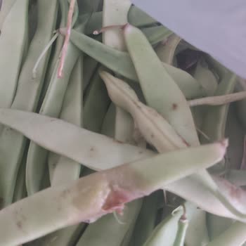 Arçelik Buzdolabı Sorunu!