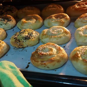 Vestel Fırın Ve Cam Ocak