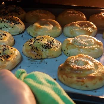 Vestel Fırın Ve Cam Ocak