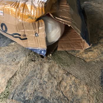 Gerikoğlu Süt Personelin İş Bilmezliği