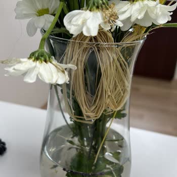 ÇiçekSepeti'nden Aldığım Çiçekler Solmuş Gitti