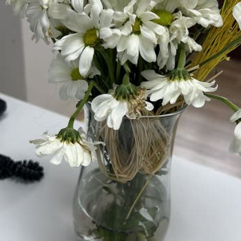 ÇiçekSepeti'nden Aldığım Çiçekler Solmuş Gitti