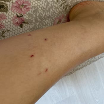 Adana Meyrem Ana Çiftliği Şikayeti