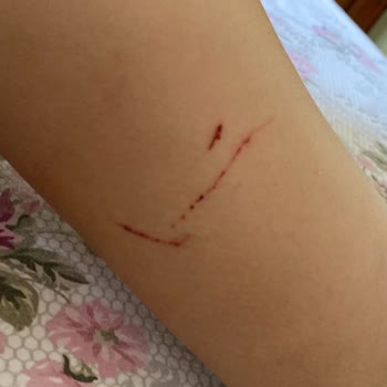 Adana Meyrem Ana Çiftliği Şikayeti