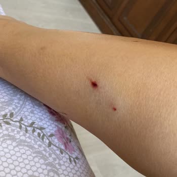 Adana Meyrem Ana Çiftliği Şikayeti