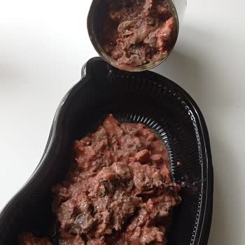 İlkeral Gıda (Pati Life) Pati Life Köpek Maması Bozuk Çıkıyor