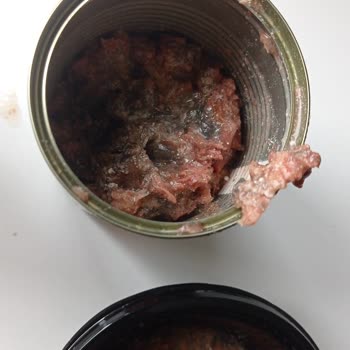 İlkeral Gıda (Pati Life) Pati Life Köpek Maması Bozuk Çıkıyor