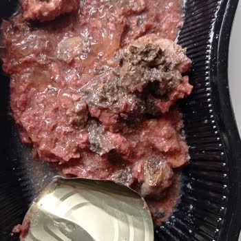 İlkeral Gıda (Pati Life) Pati Life Köpek Maması Bozuk Çıkıyor