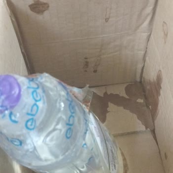 Ebebek Ve Sendeo Kargo Firması