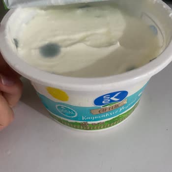 Sek Süt Küflenmiş Yoğurt Yeşillenmiş